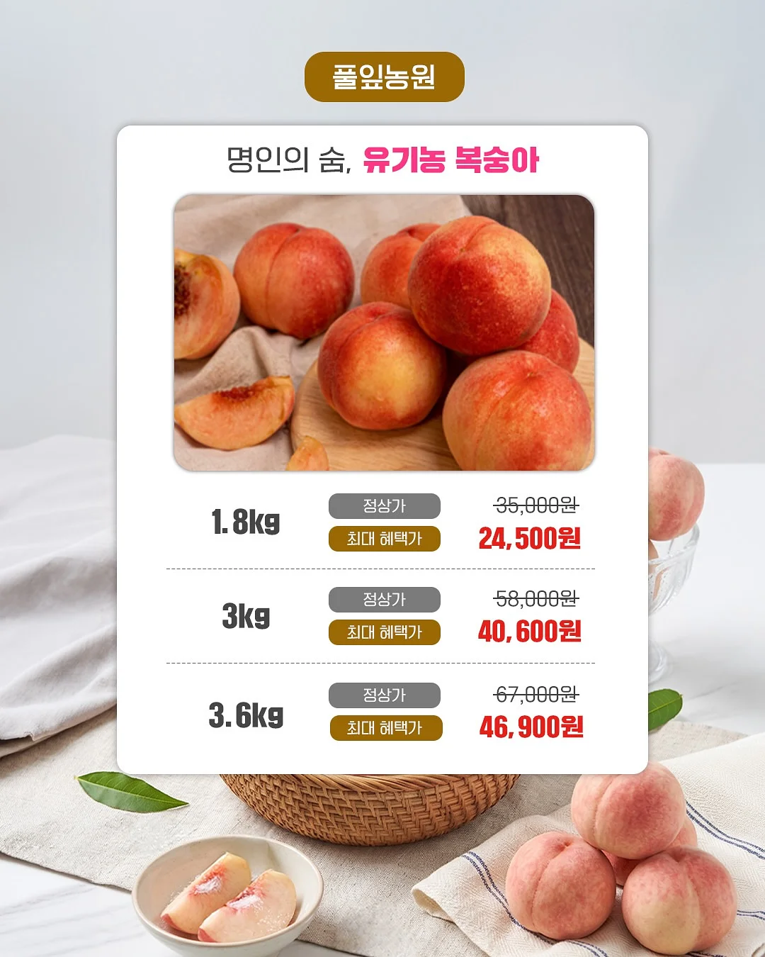 자석젤 2