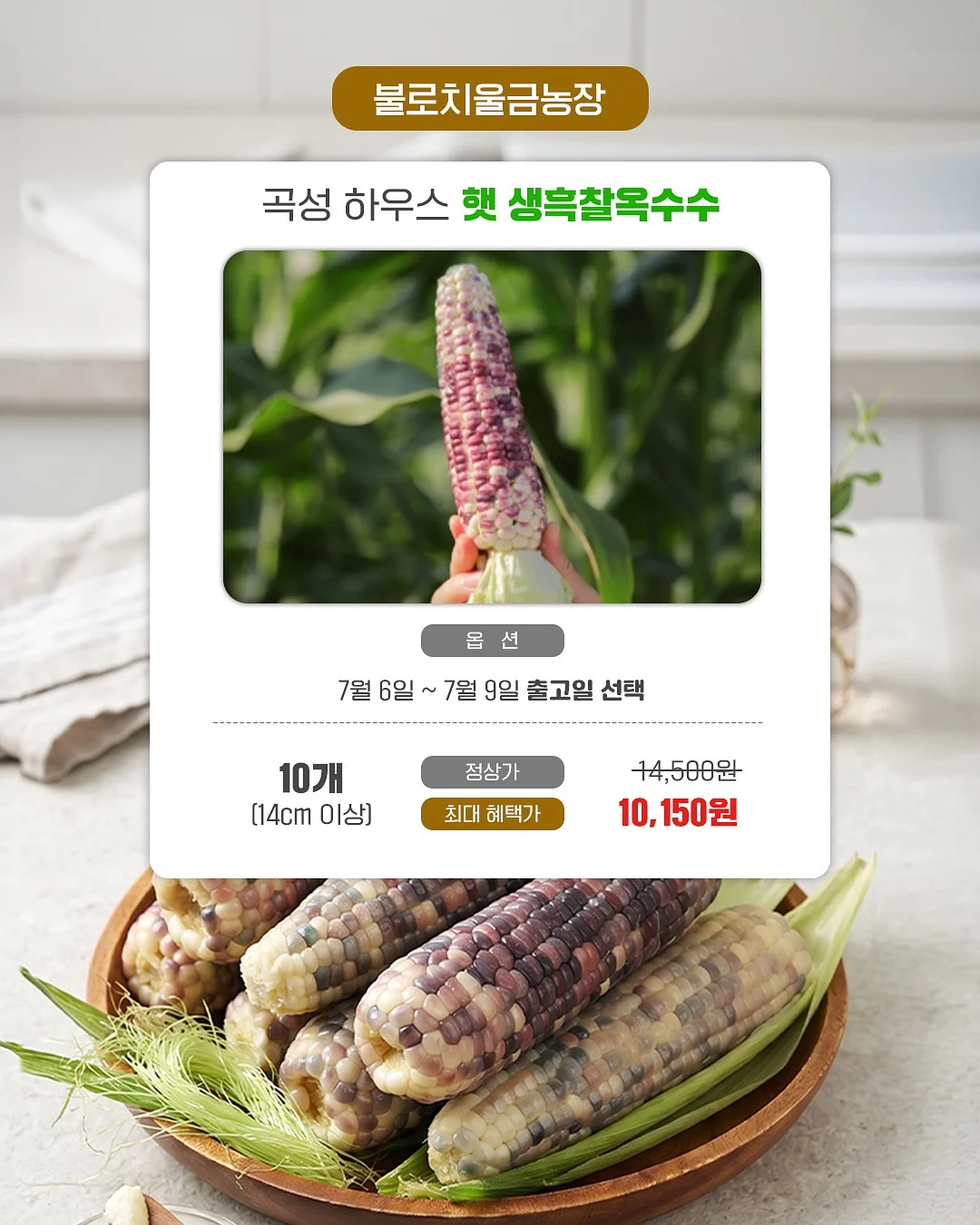 자석젤 3