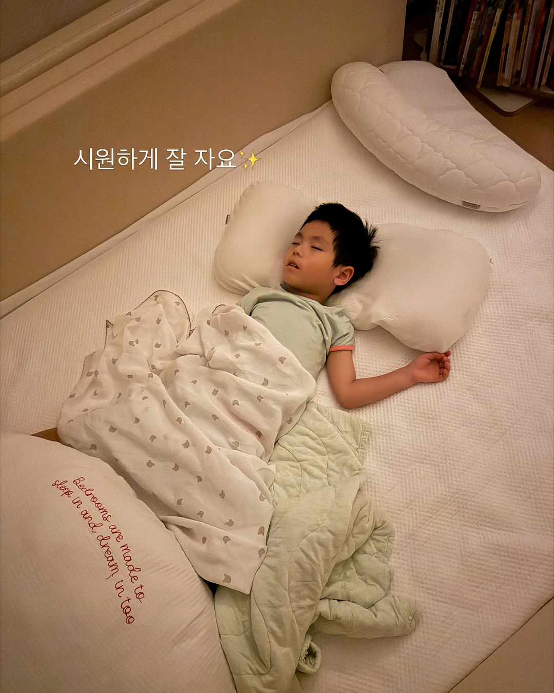 쿠션 7