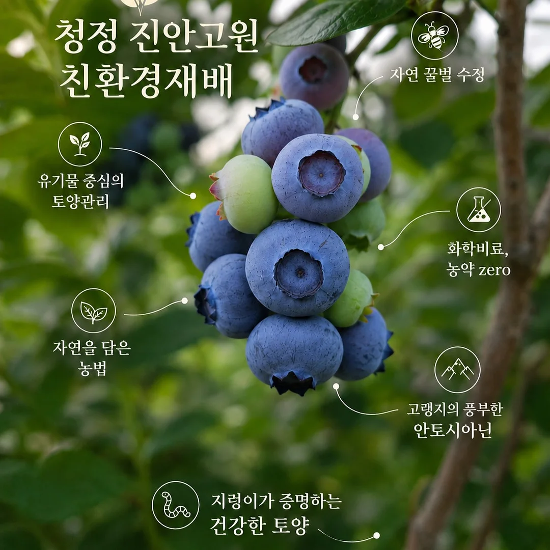 신상 3