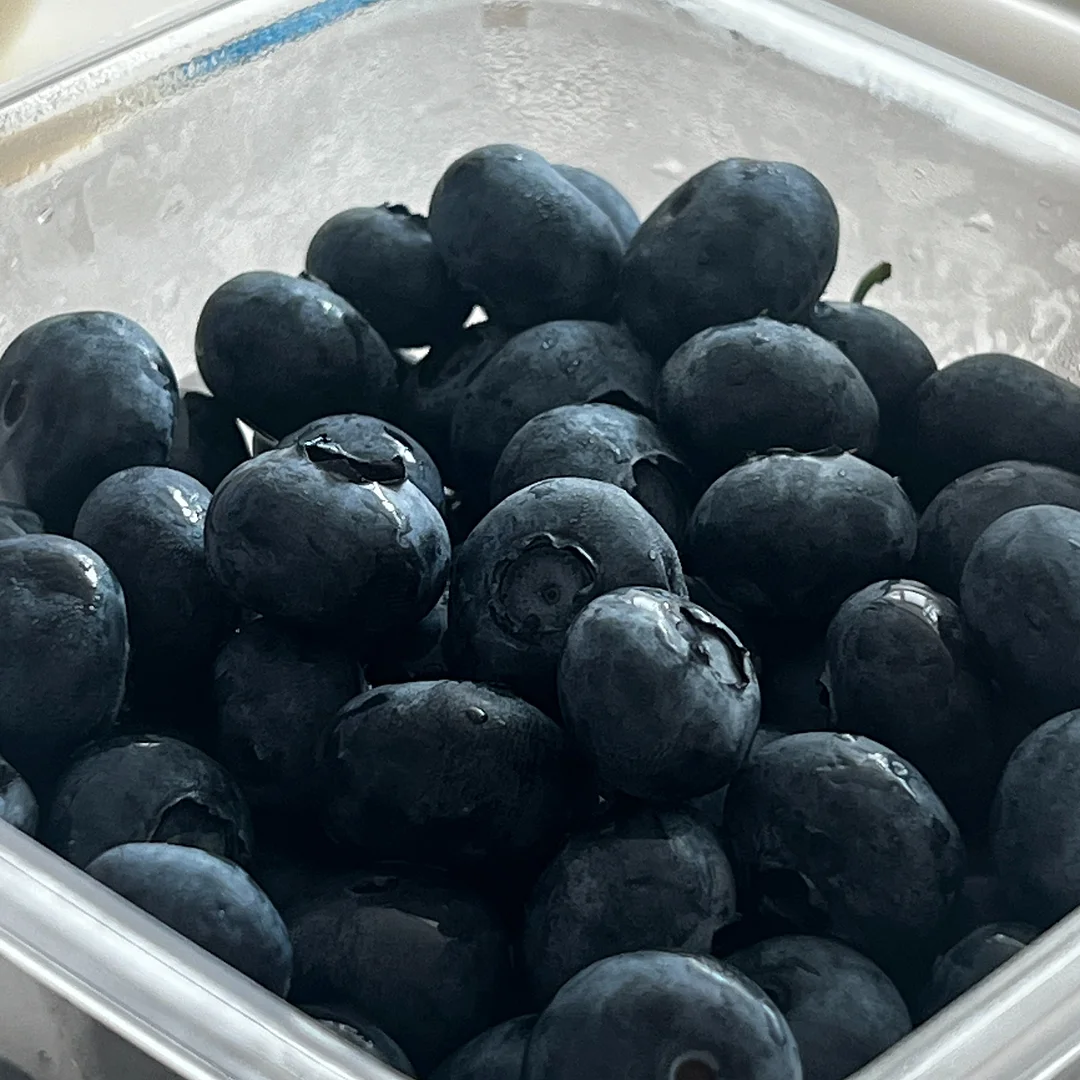 신상 9