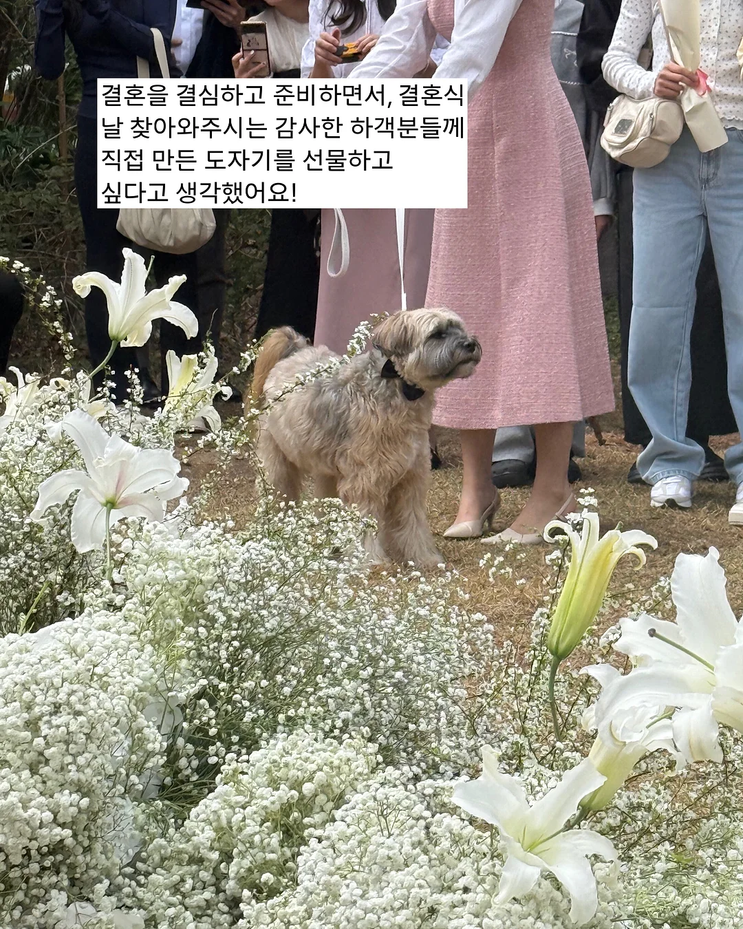 리포질 아이 로션 3