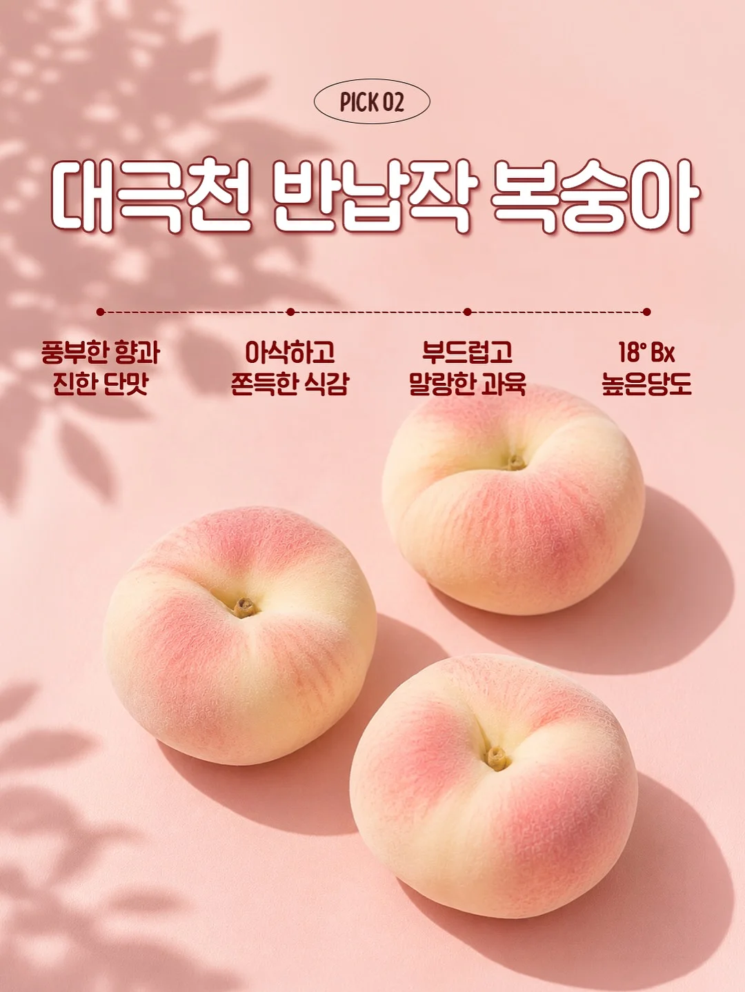 마라도 정기 여객선 3