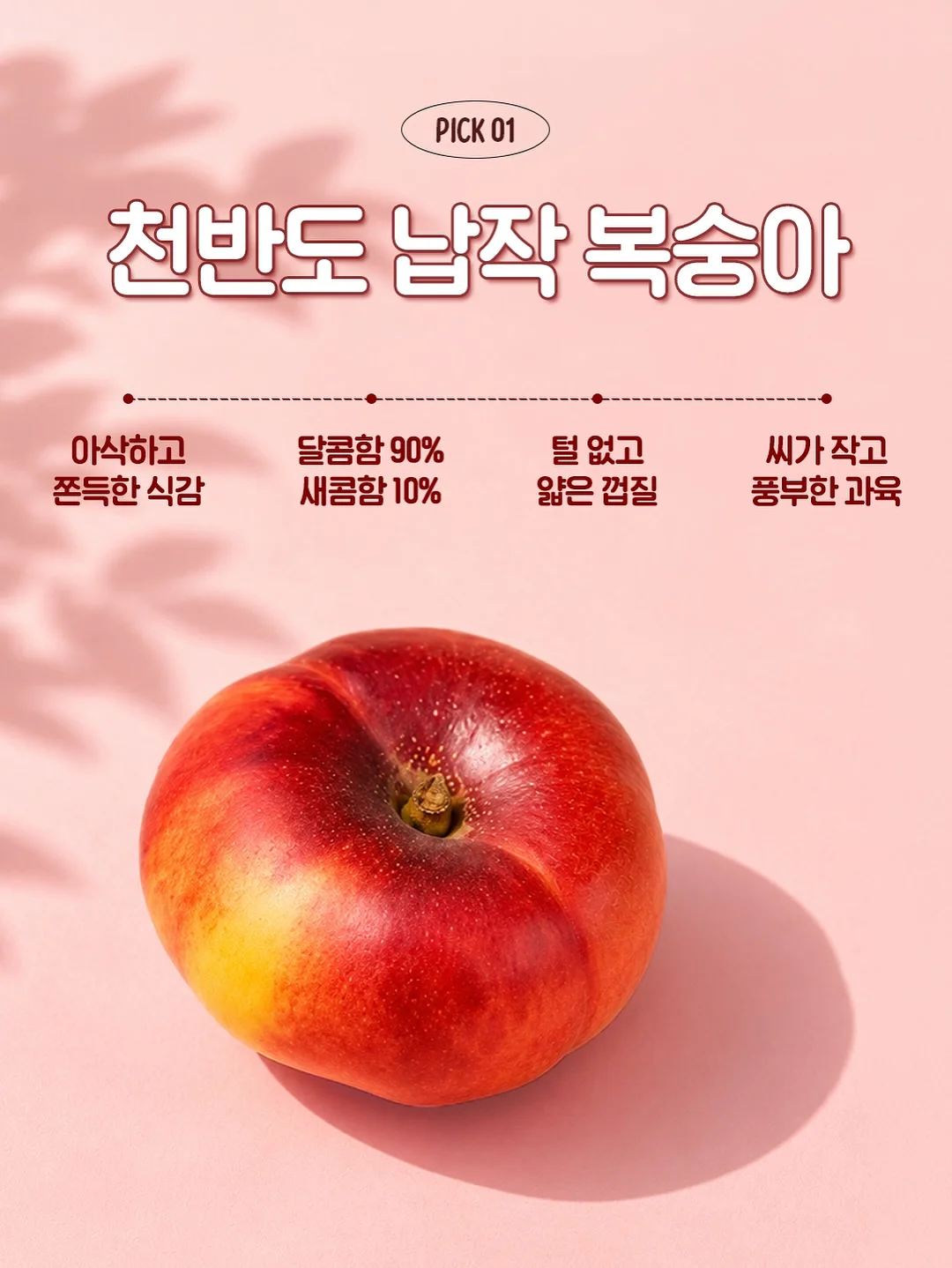 마라도 정기 여객선 4
