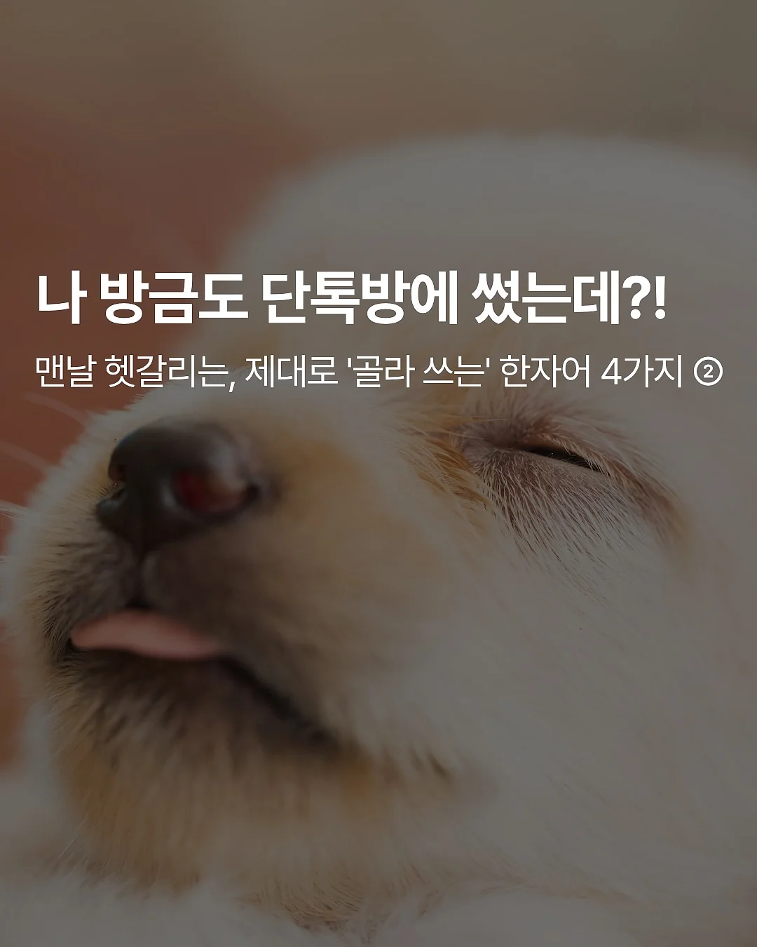 티어드롭 1