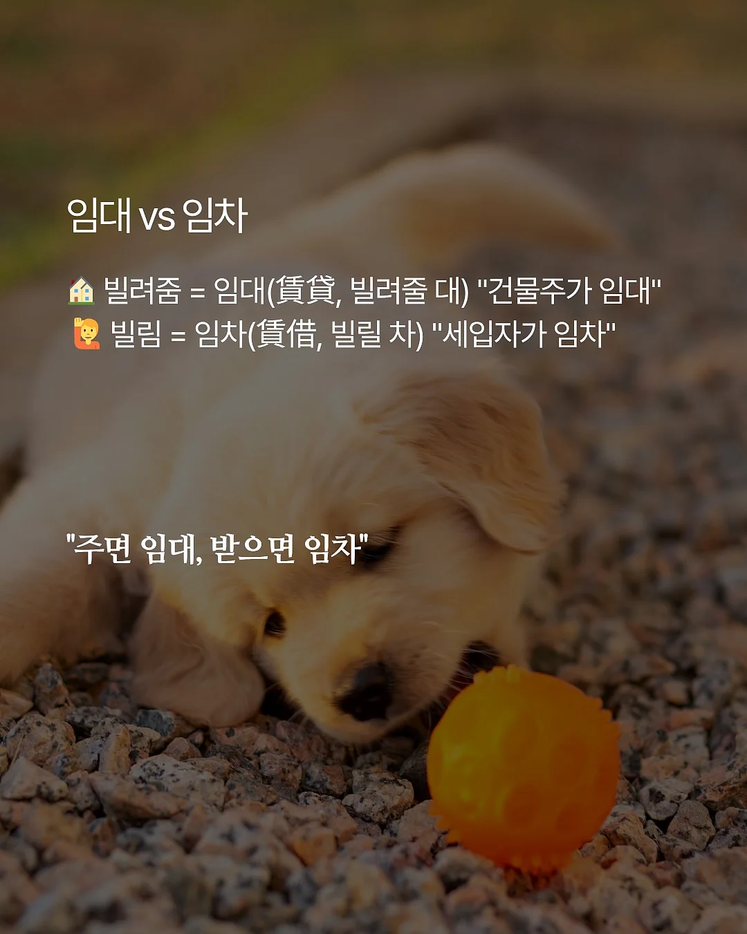 티어드롭 2