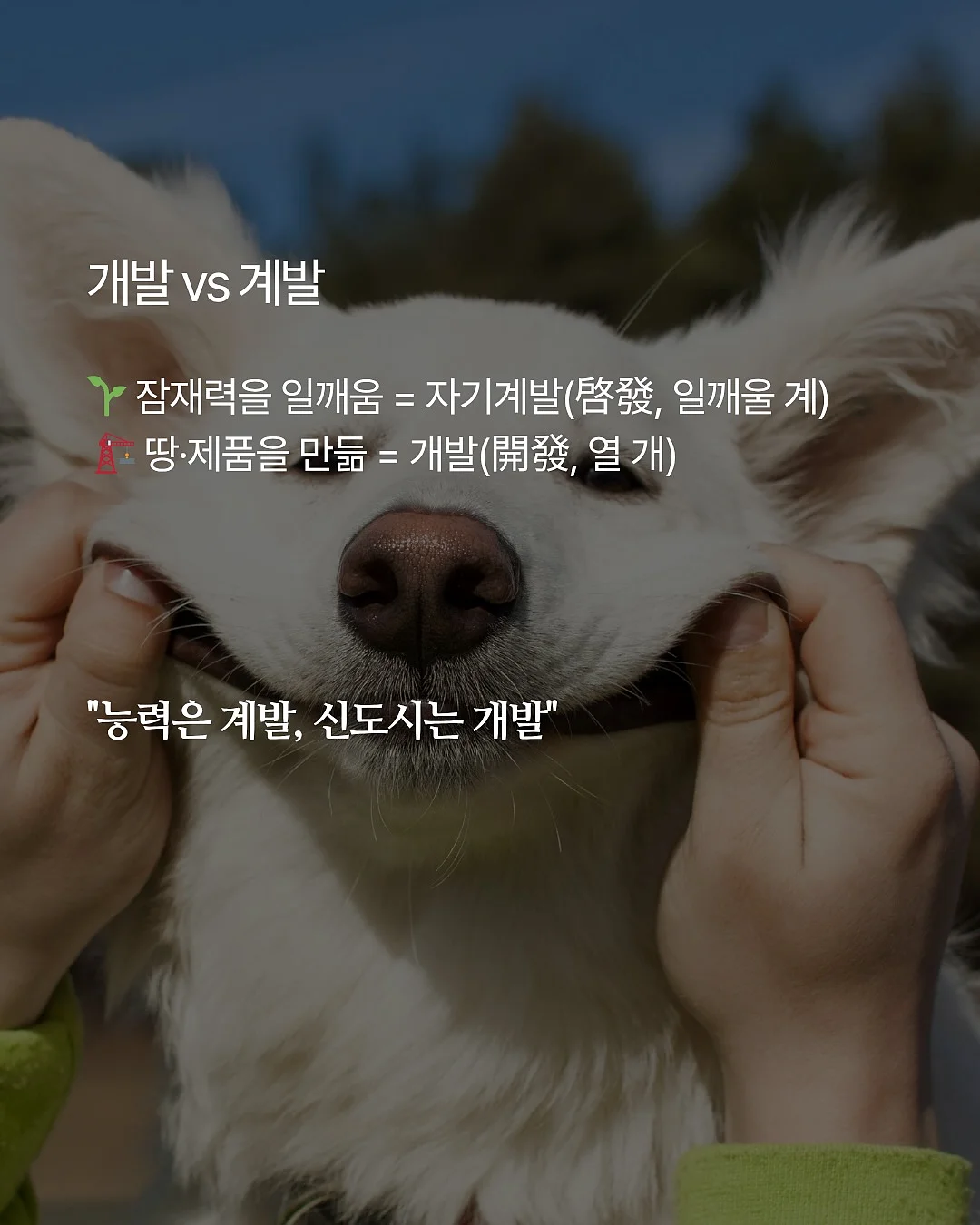 티어드롭 3