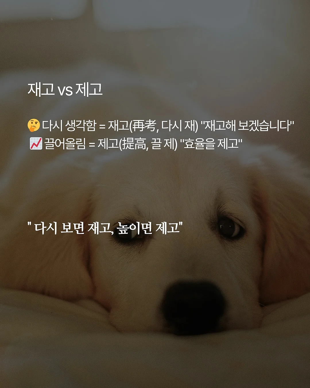 티어드롭 4