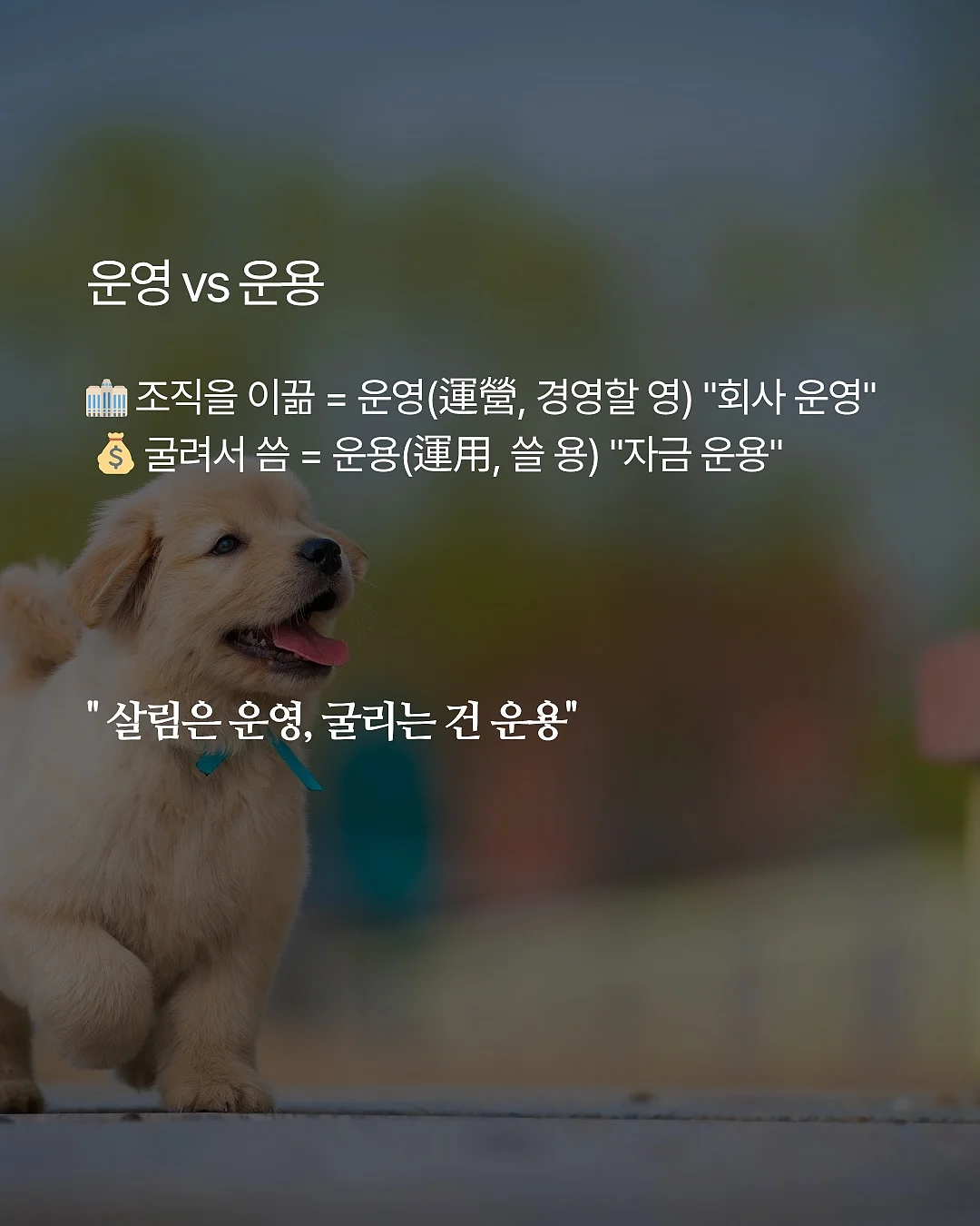 티어드롭 5