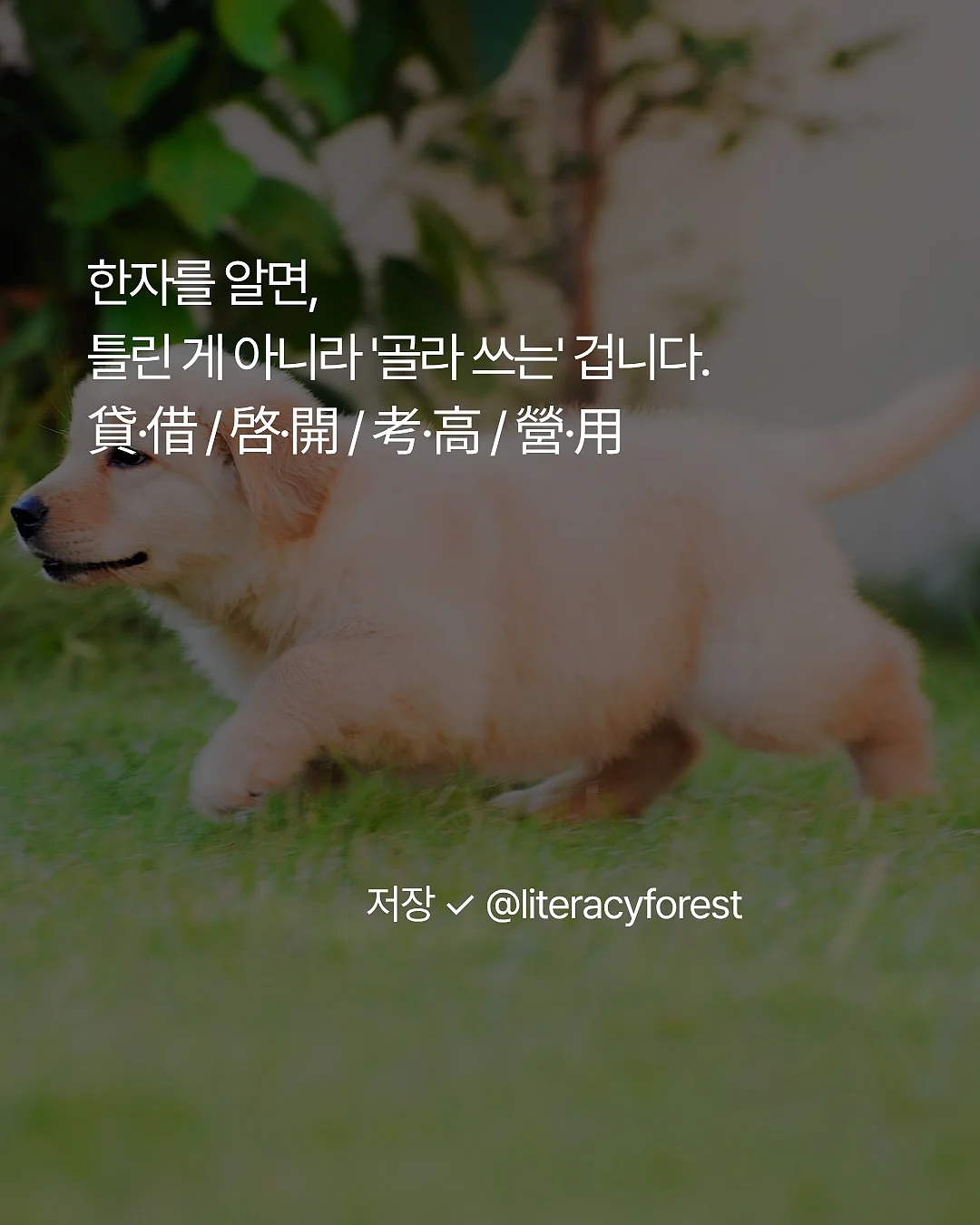 티어드롭 6
