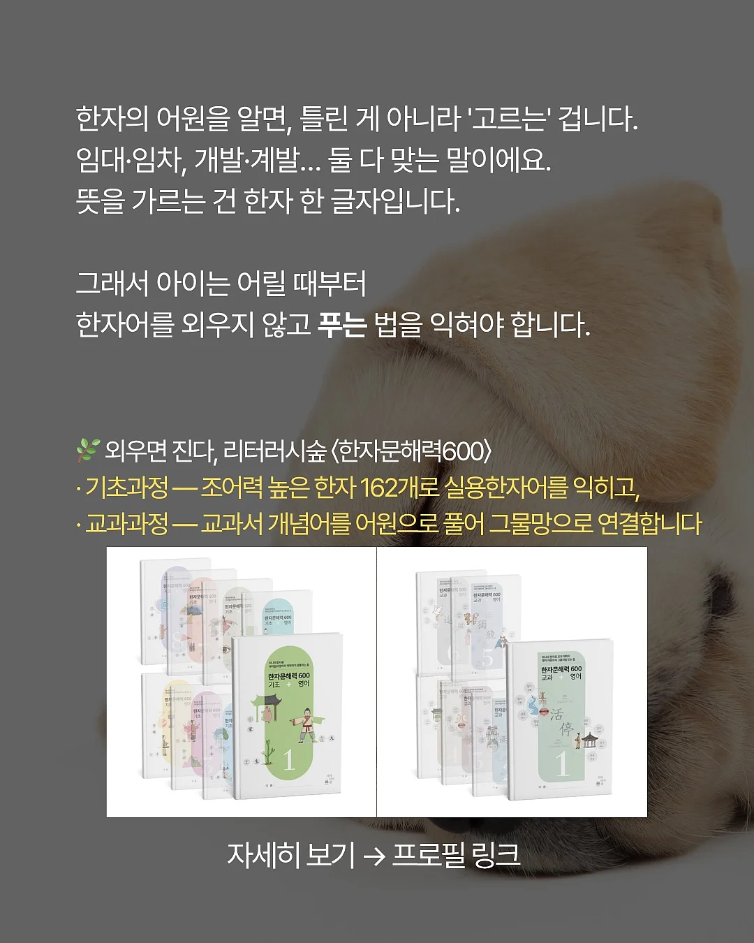 티어드롭 7
