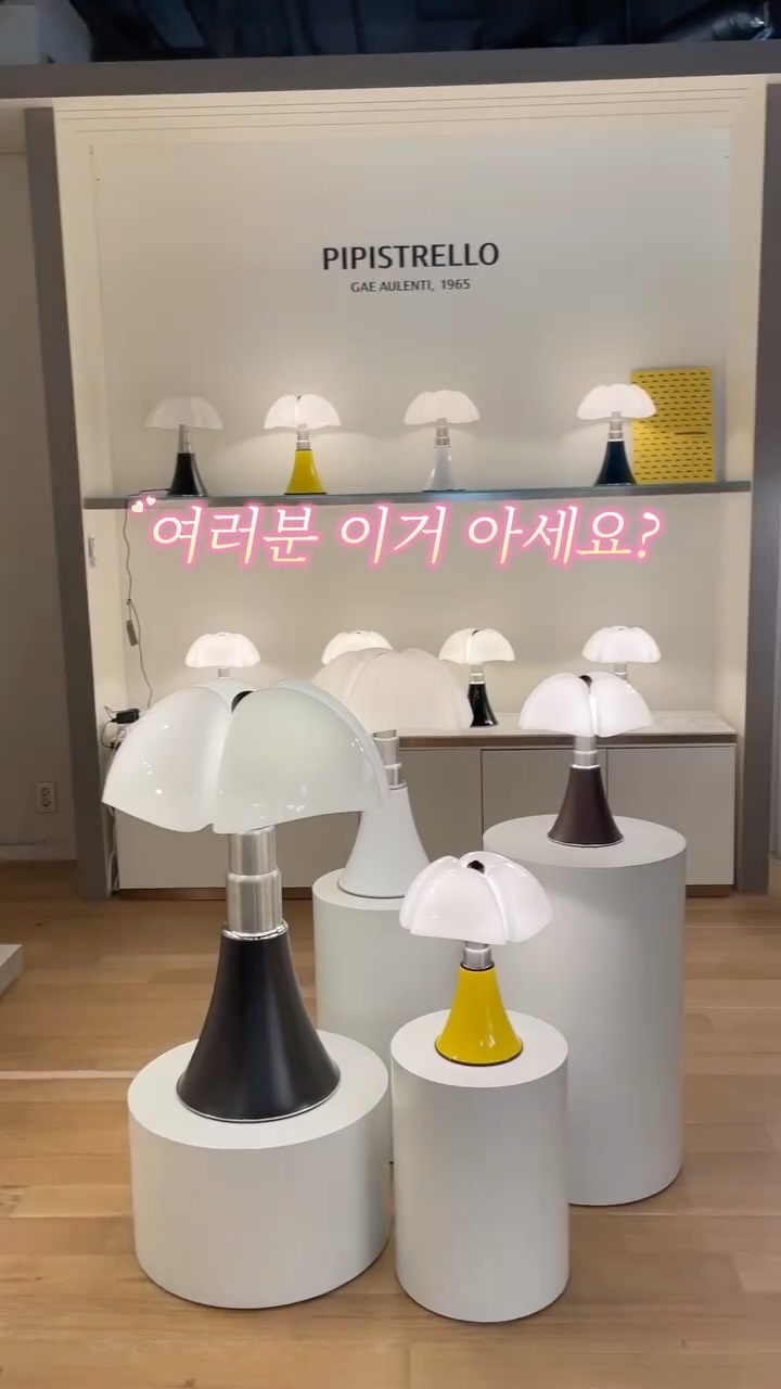 엘레나 유산균 스틱