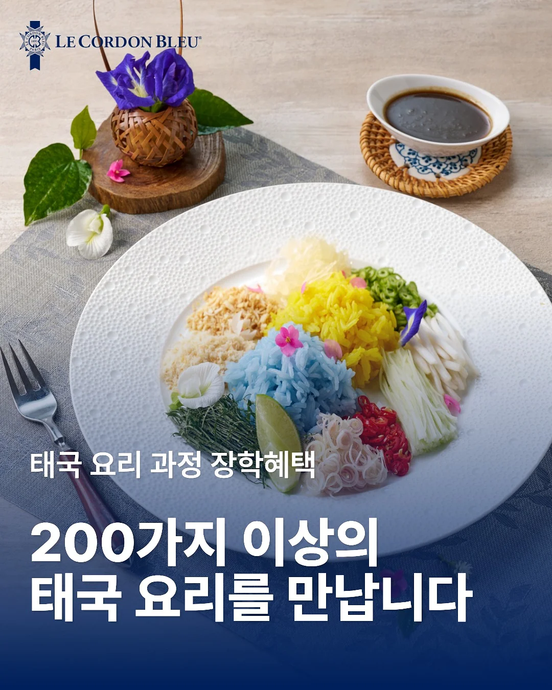 후드 여름 살안타템 1
