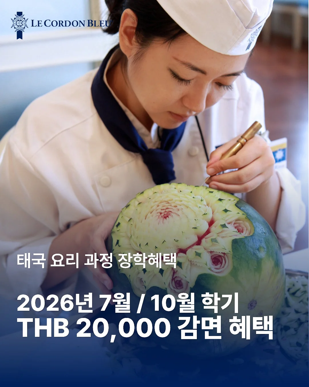 후드 여름 살안타템 3