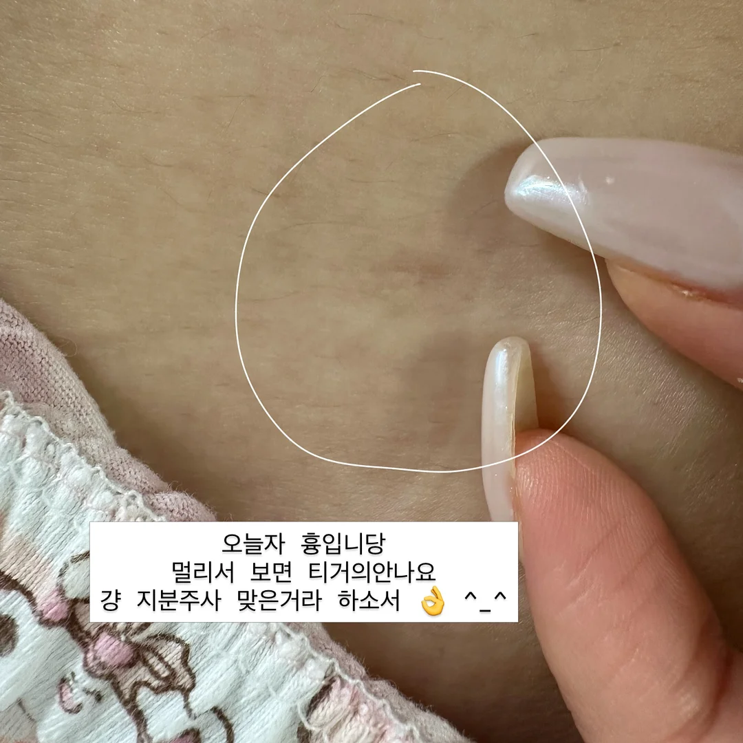 도트나시 3