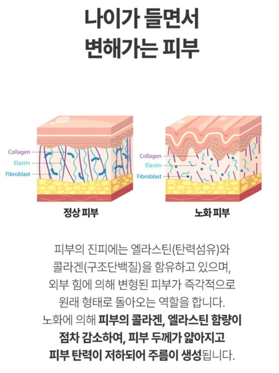 궁궐 달빛 동행 10