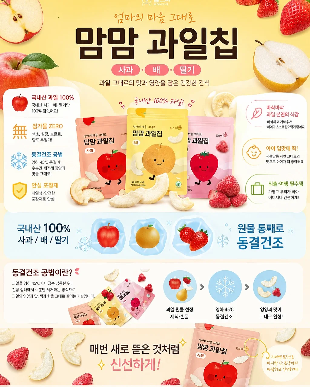 카네이션 11