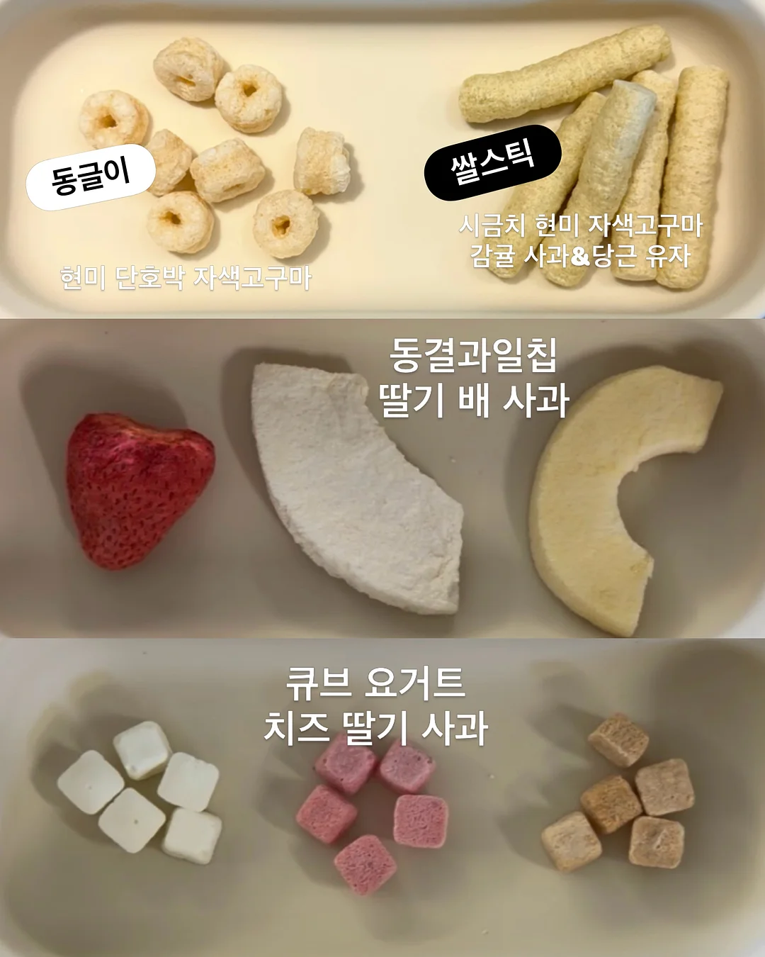 카네이션 2