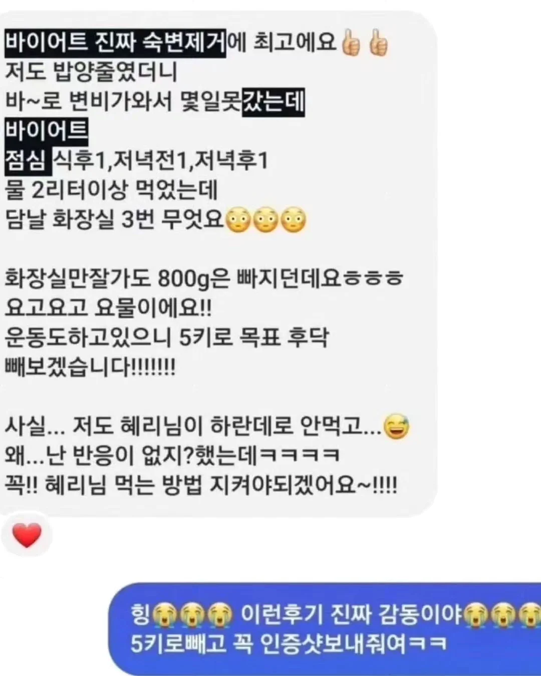 미스와기 치석 제거 6