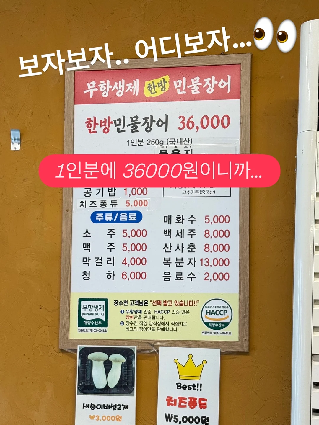 결국 사랑받는 1등의 언어 5