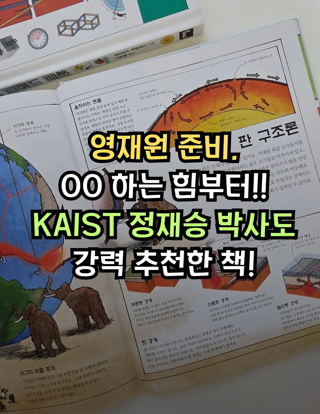 쉐프윈 오벌팬 1