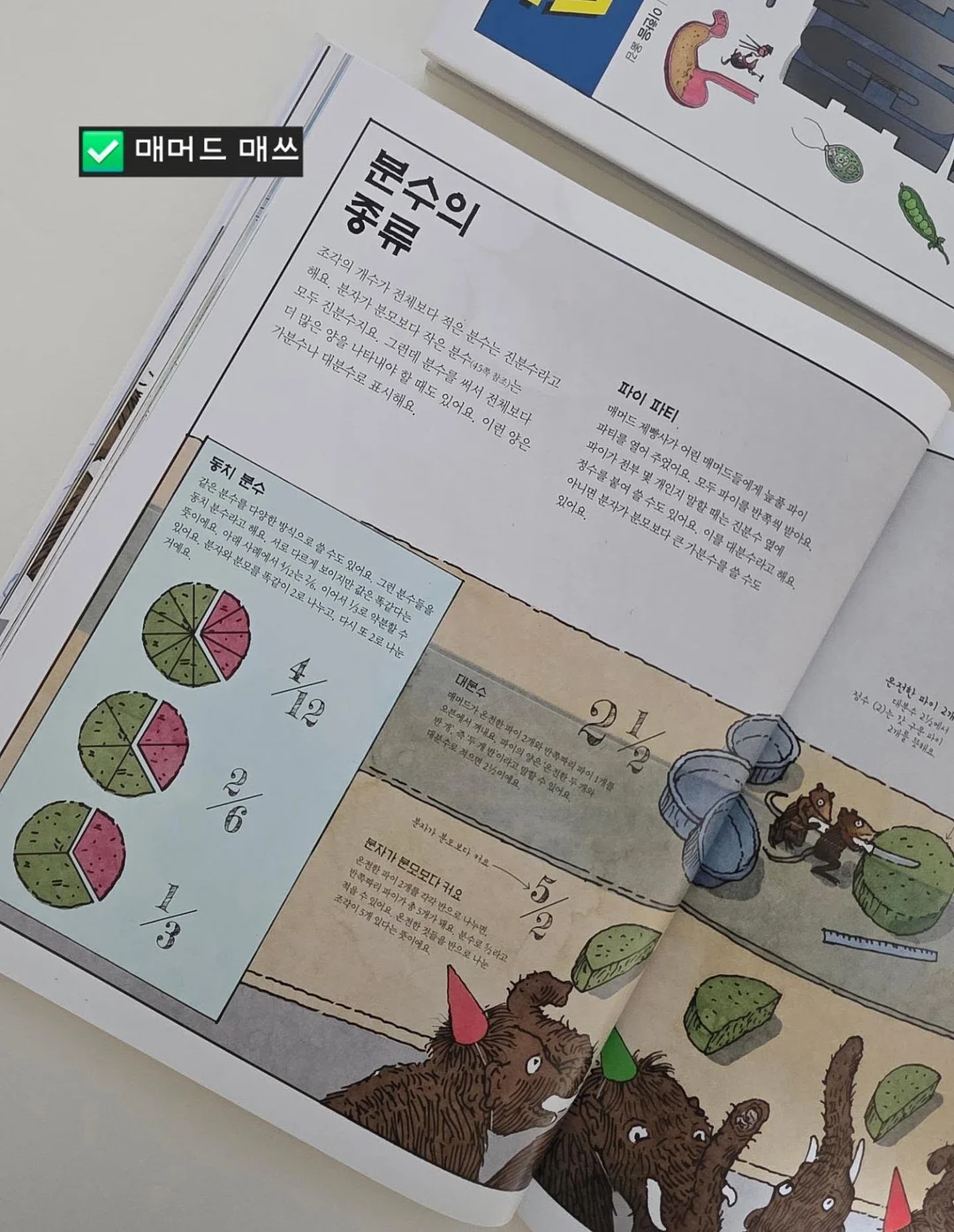 쉐프윈 오벌팬 11