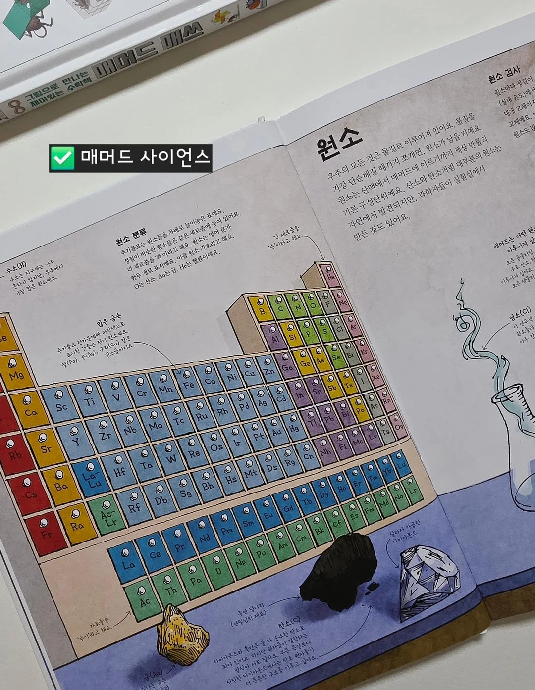 쉐프윈 오벌팬 12
