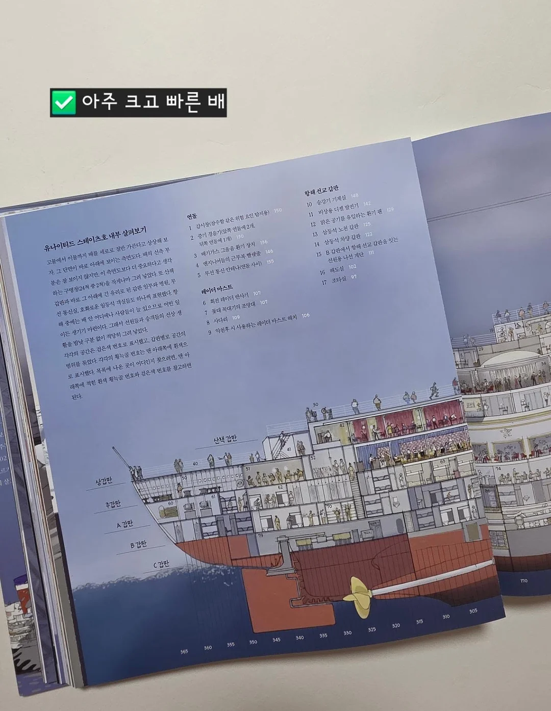쉐프윈 오벌팬 14