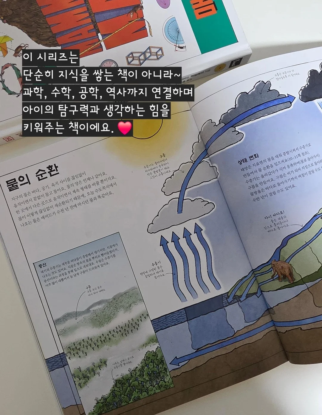 쉐프윈 오벌팬 18