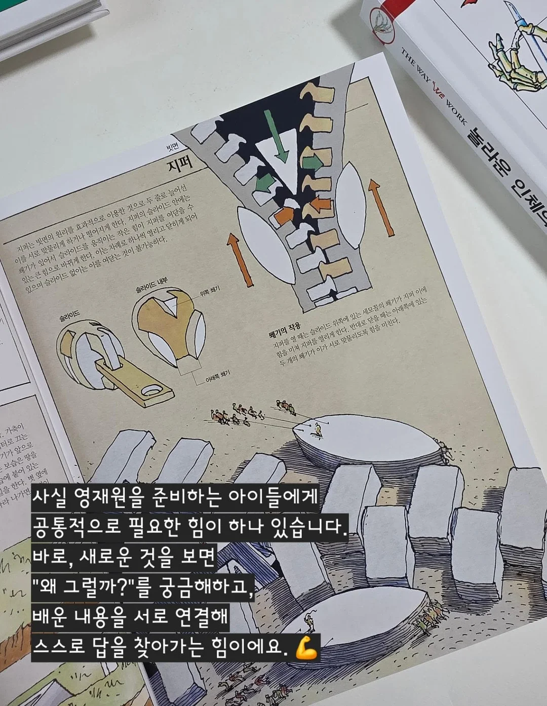 쉐프윈 오벌팬 2