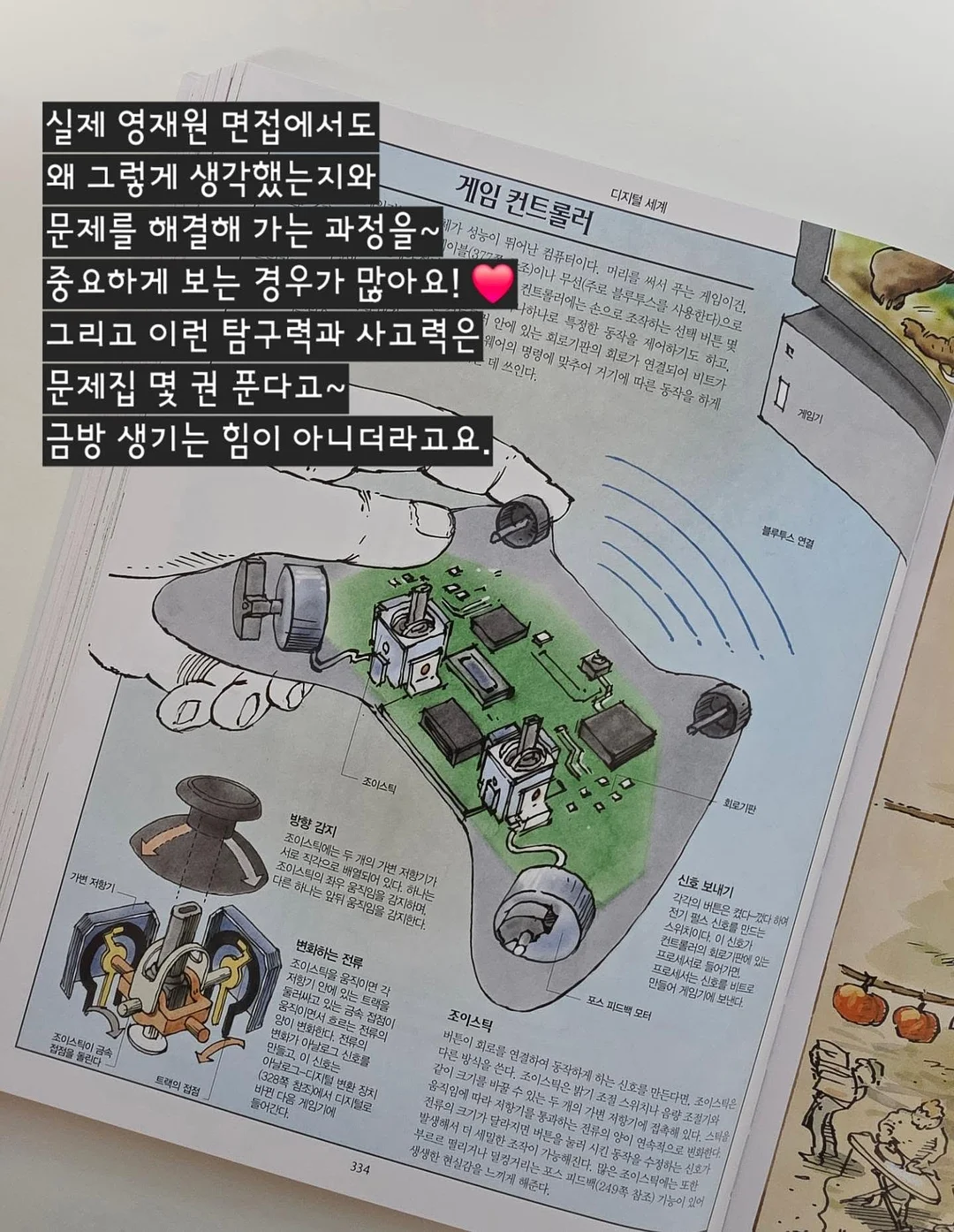 쉐프윈 오벌팬 3