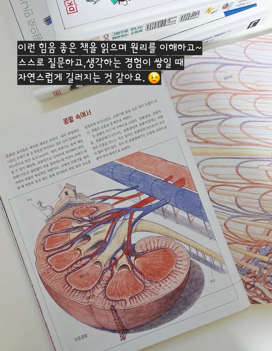 쉐프윈 오벌팬 4