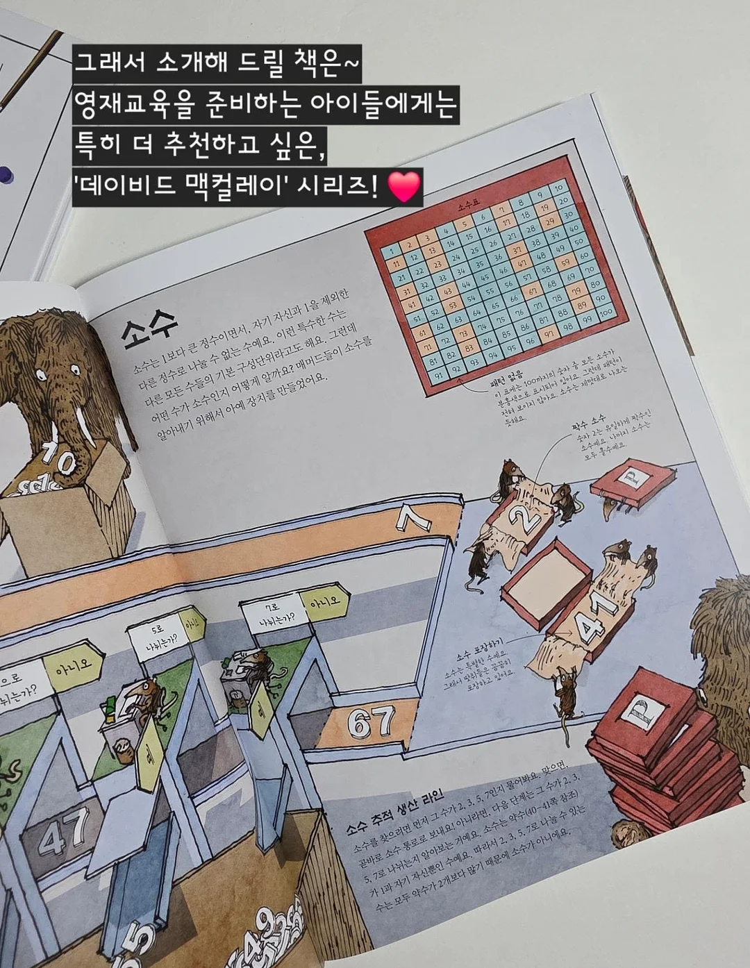 쉐프윈 오벌팬 5