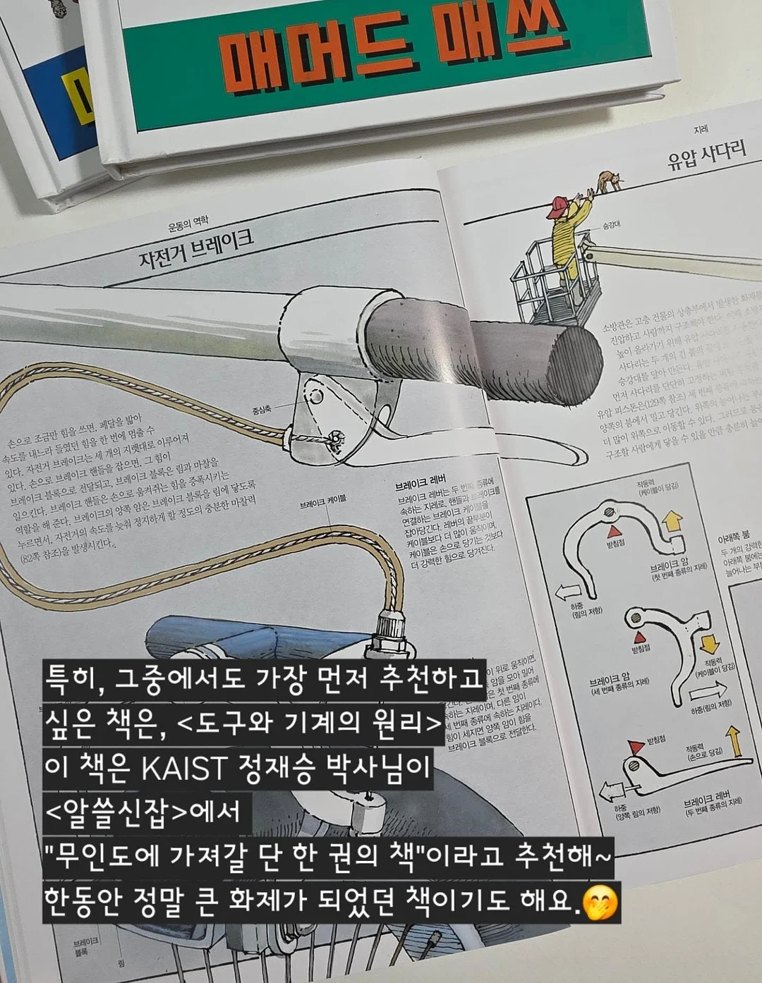 쉐프윈 오벌팬 6