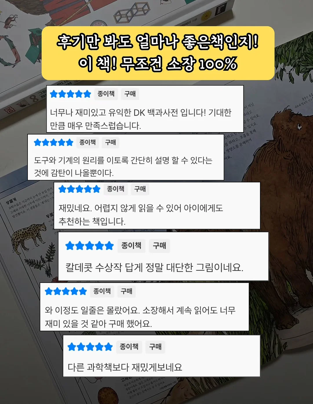쉐프윈 오벌팬 9