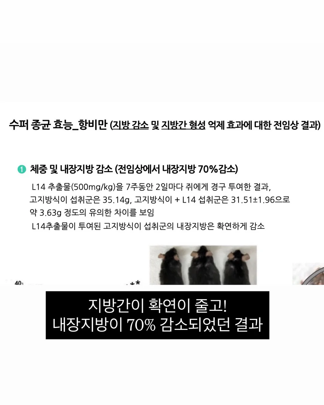 수준 떨어지는 사람과 굳이 다투지 마라 2