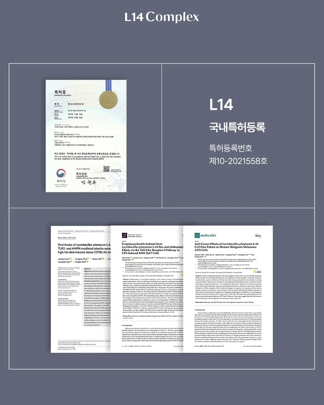 수준 떨어지는 사람과 굳이 다투지 마라 8
