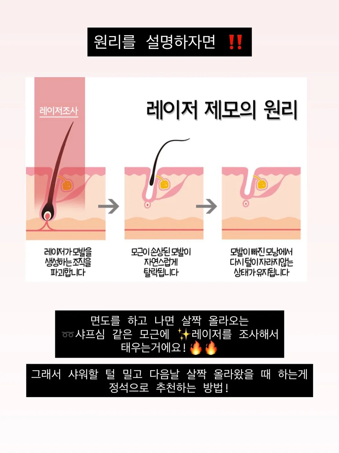 몬치치 유리컵 세트 복숭아 젤리 5