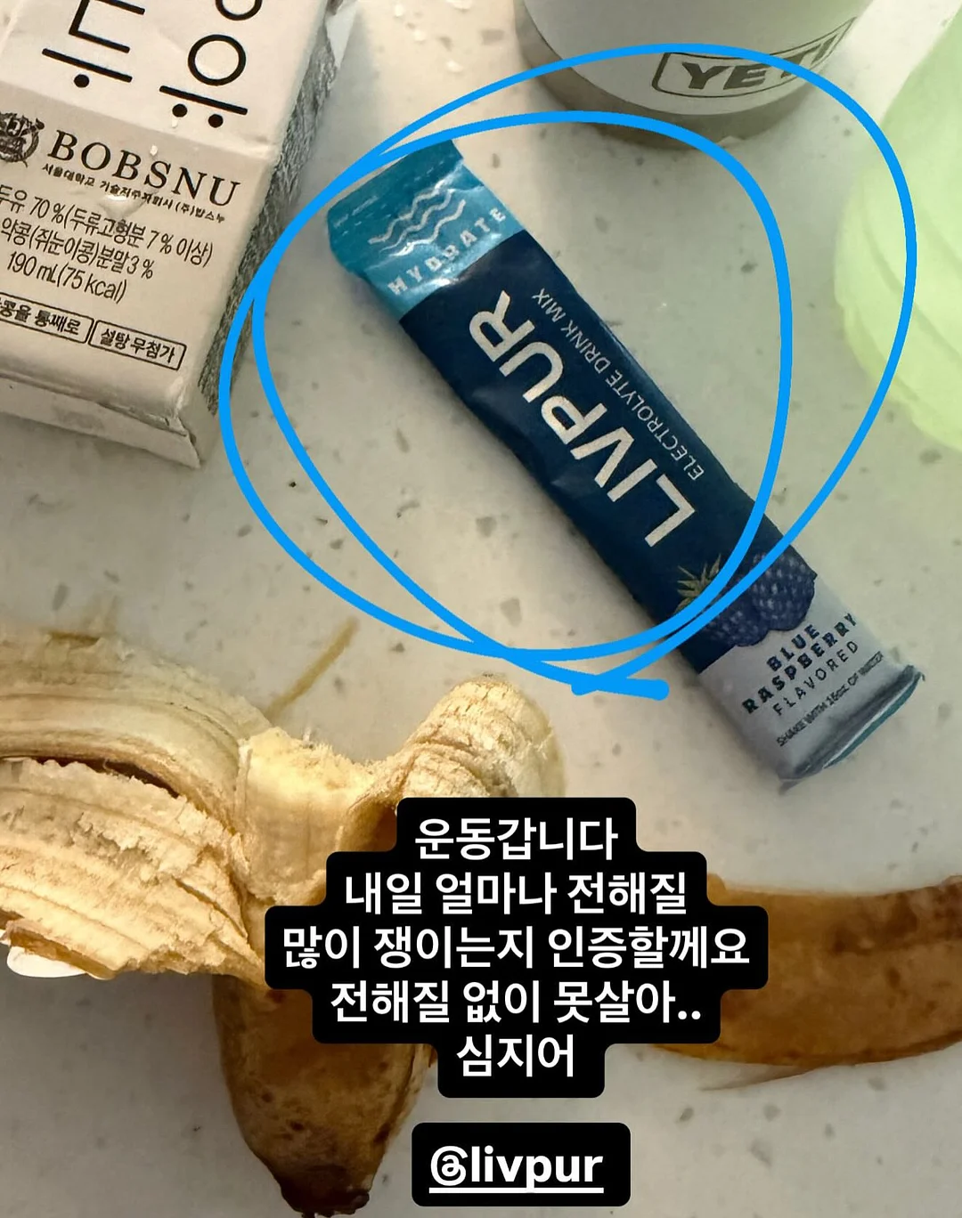 모기 채집기 7