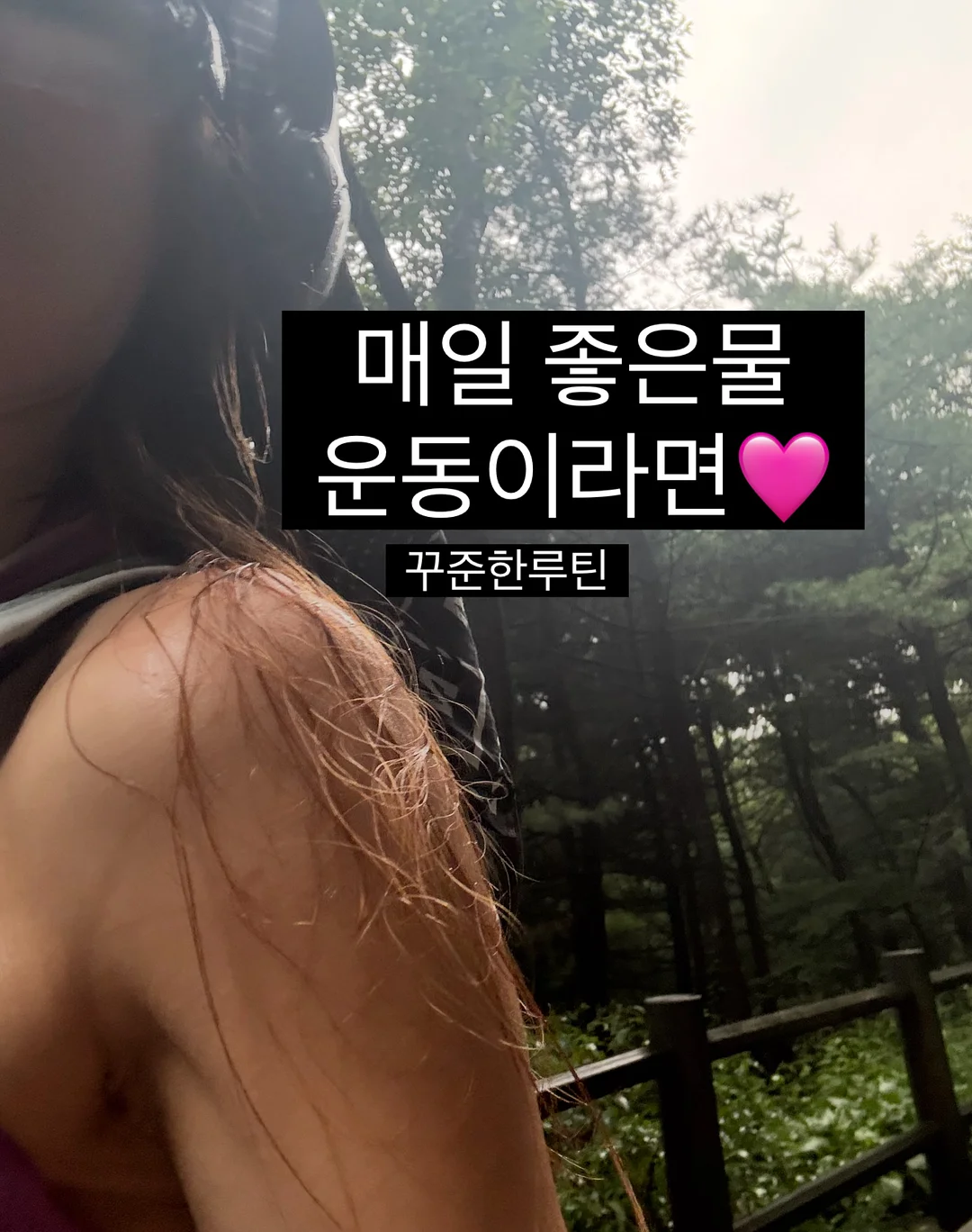 모기 채집기 9