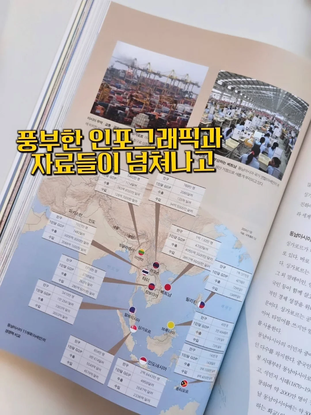 솔방울 미니 파우치 3