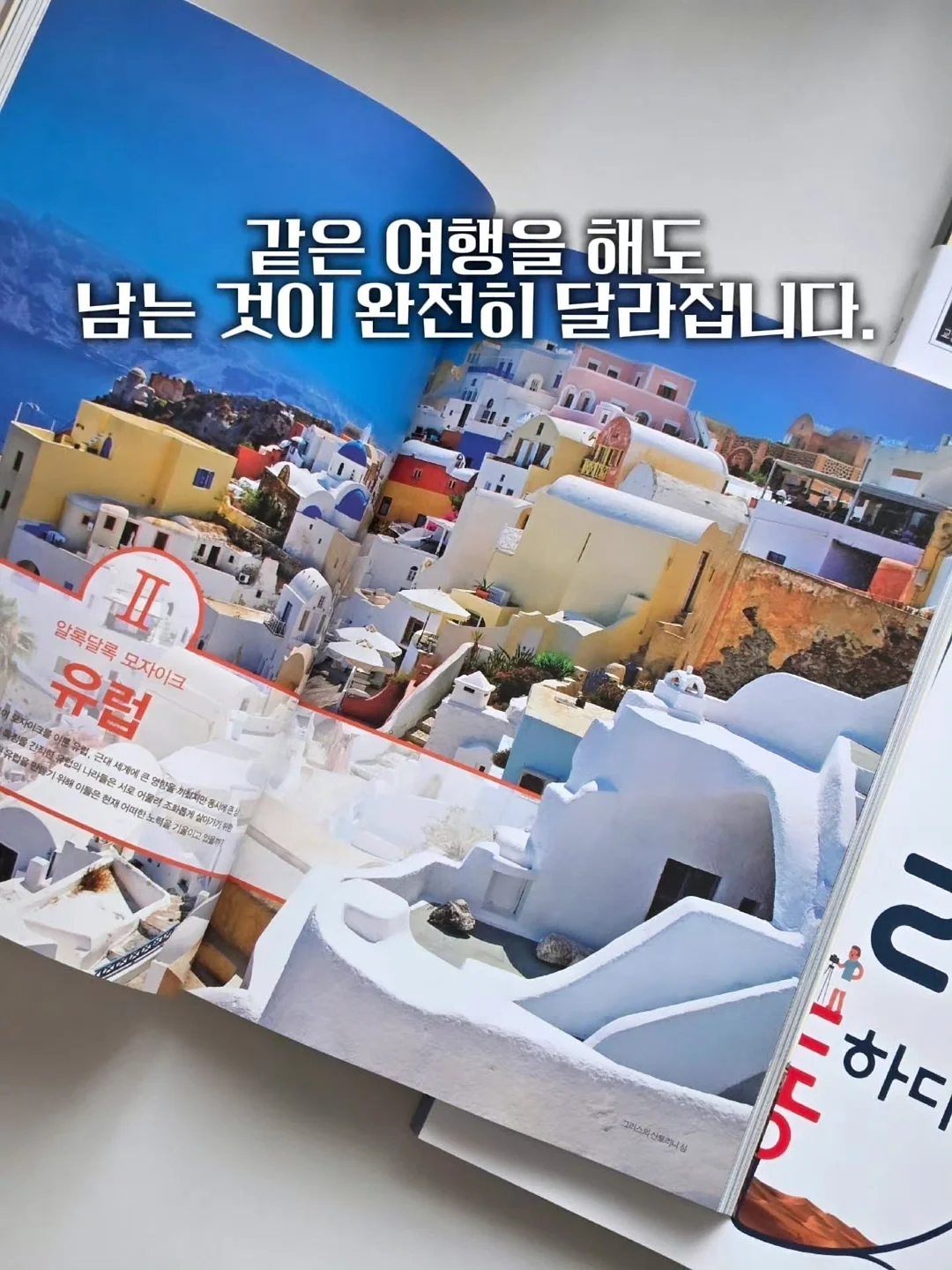 솔방울 미니 파우치 6