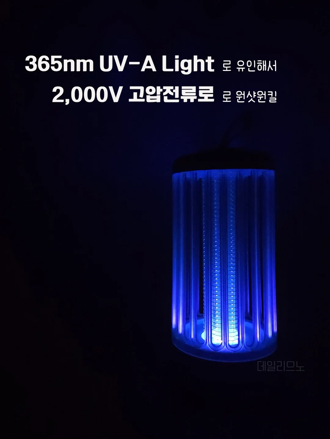 인생 팬츠 8
