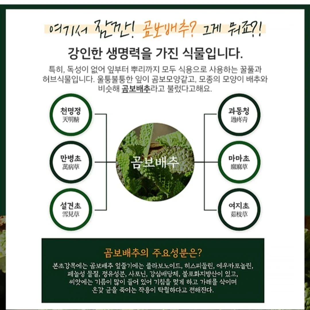 런드리유 클린 페이스 솔리드 미스트 카밍 2