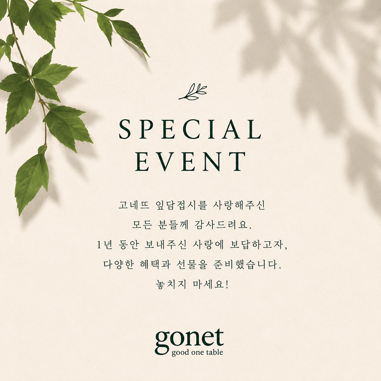 황금버터사과 5