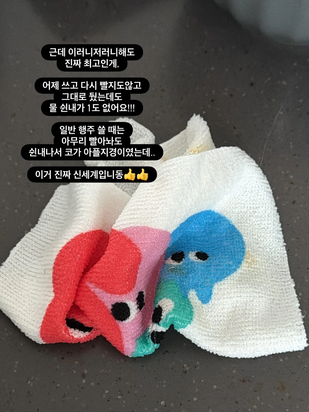 뉴치트 단백질 쉐이크 10