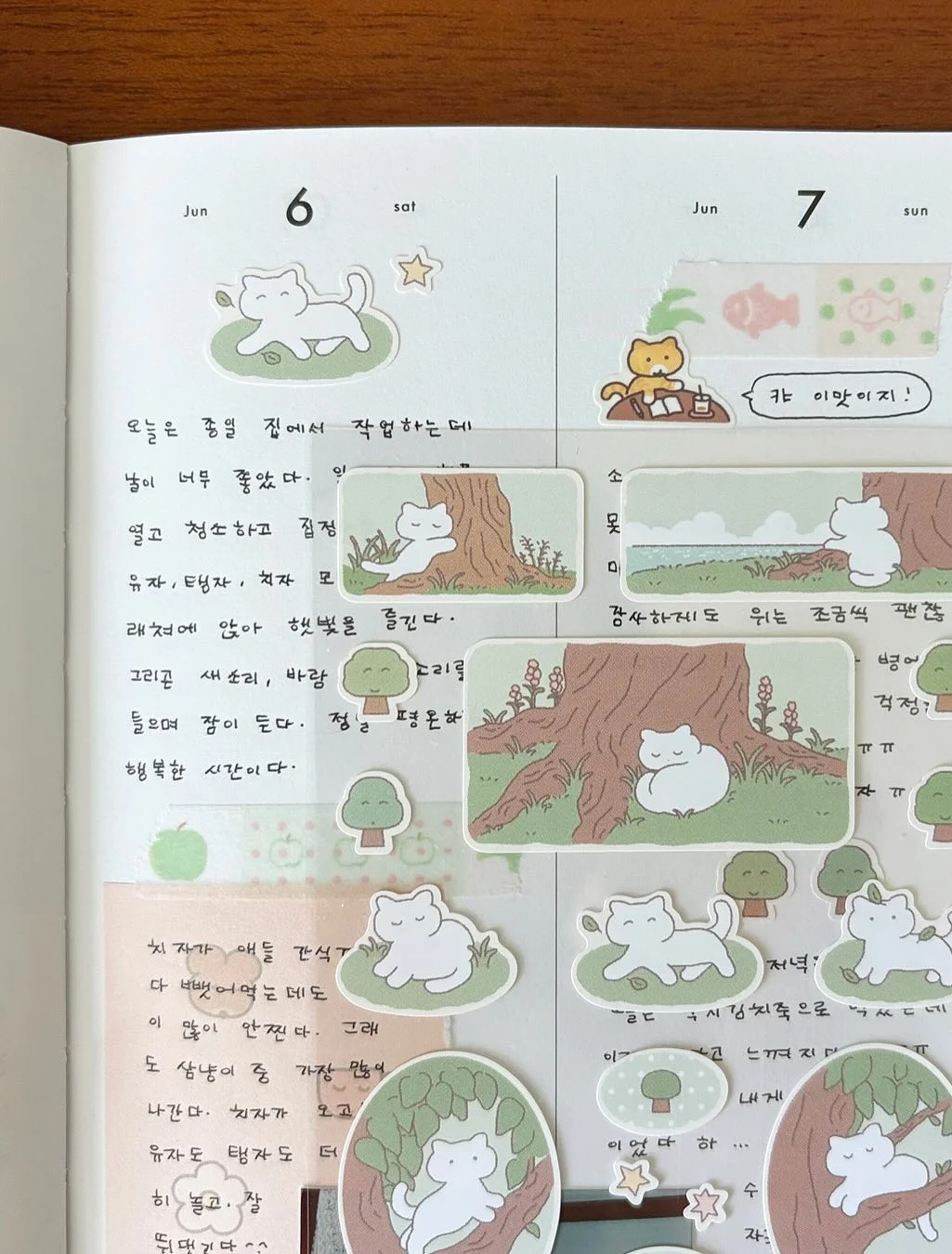 레이어 스윙 빈 소프트 레몬 7