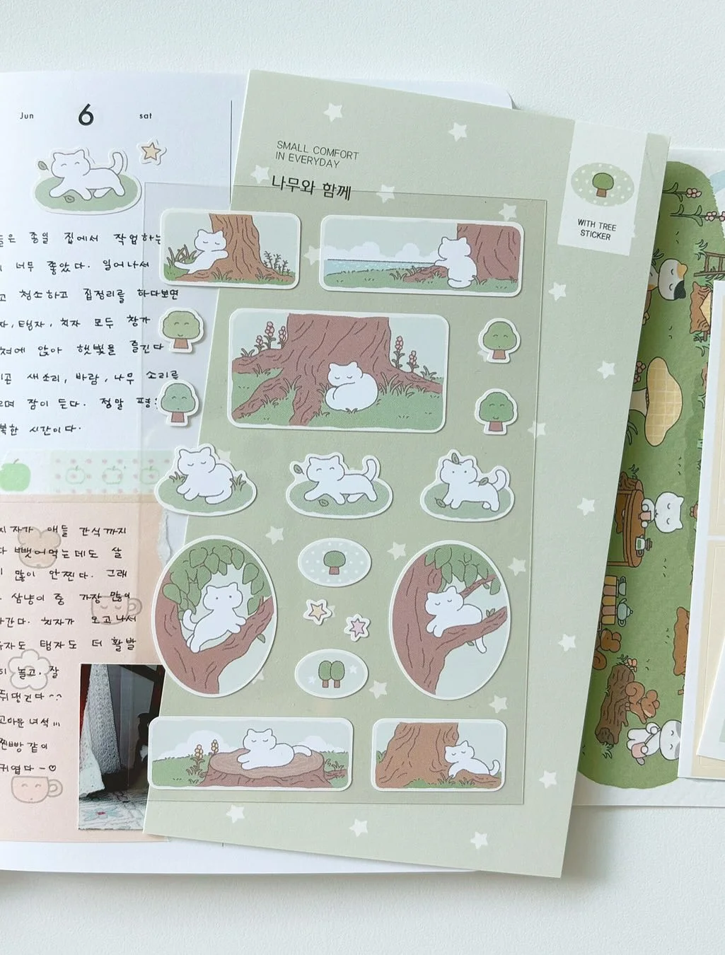 레이어 스윙 빈 소프트 레몬 8
