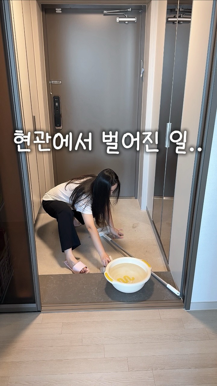 핑크템