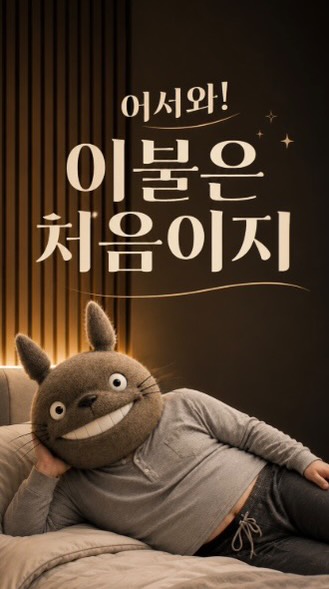 니트셋업